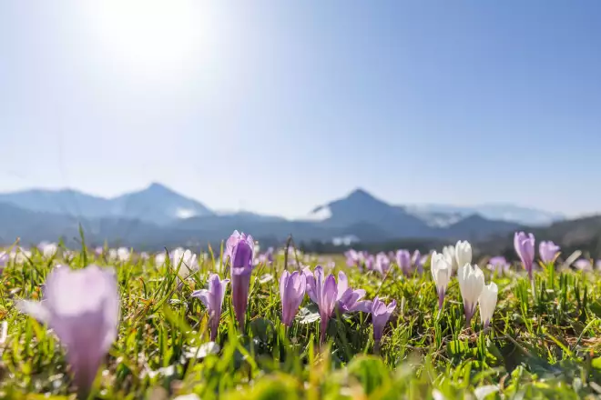 Erholung in ruhiger Winterstimmung