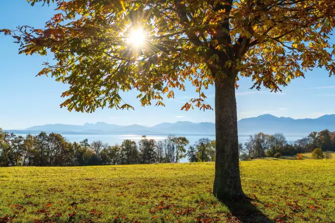 Herbstliche Auszeit zum Abschalten und Genießen