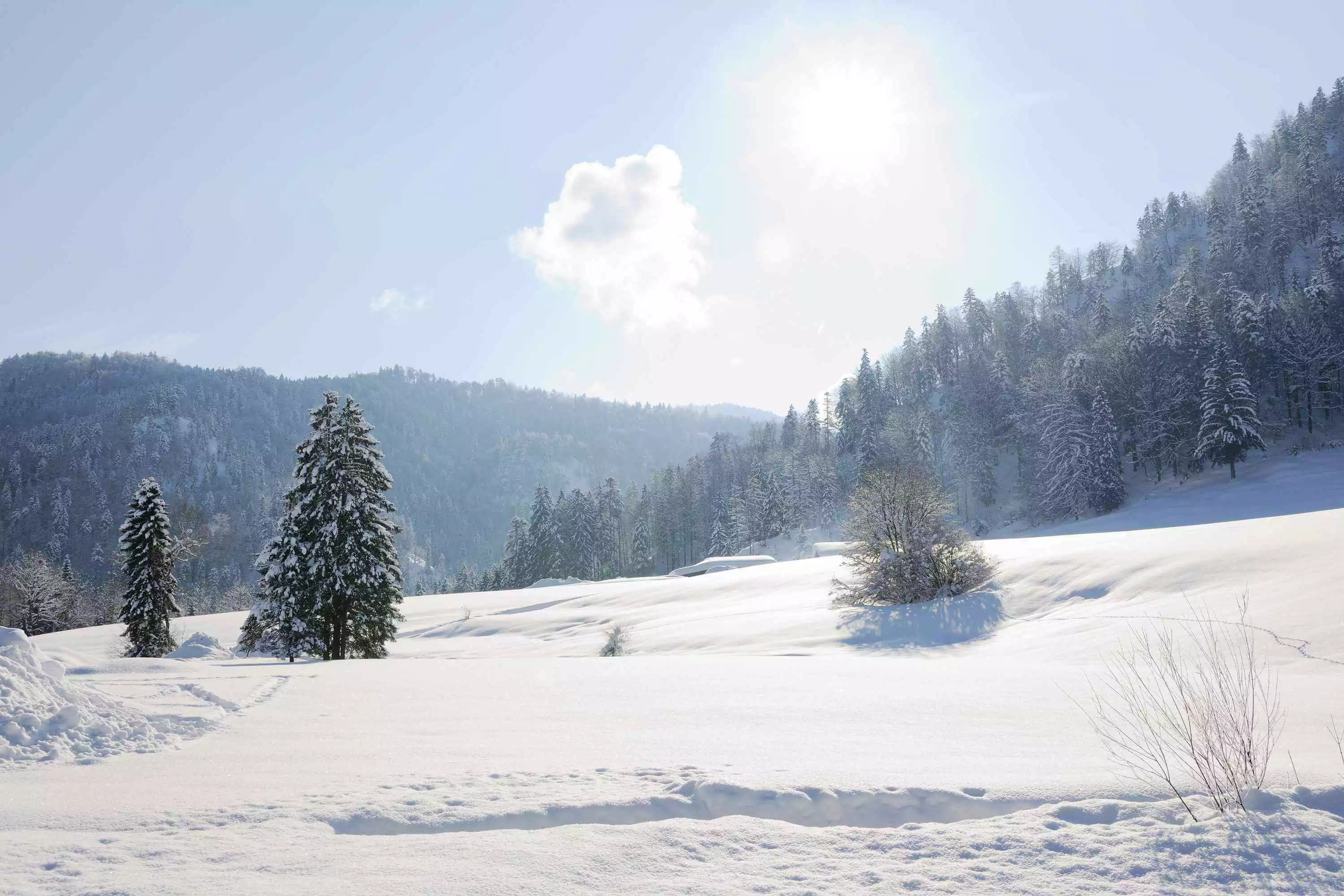 Winterurlaub am Moierhof Gstadt in Oberbayern
