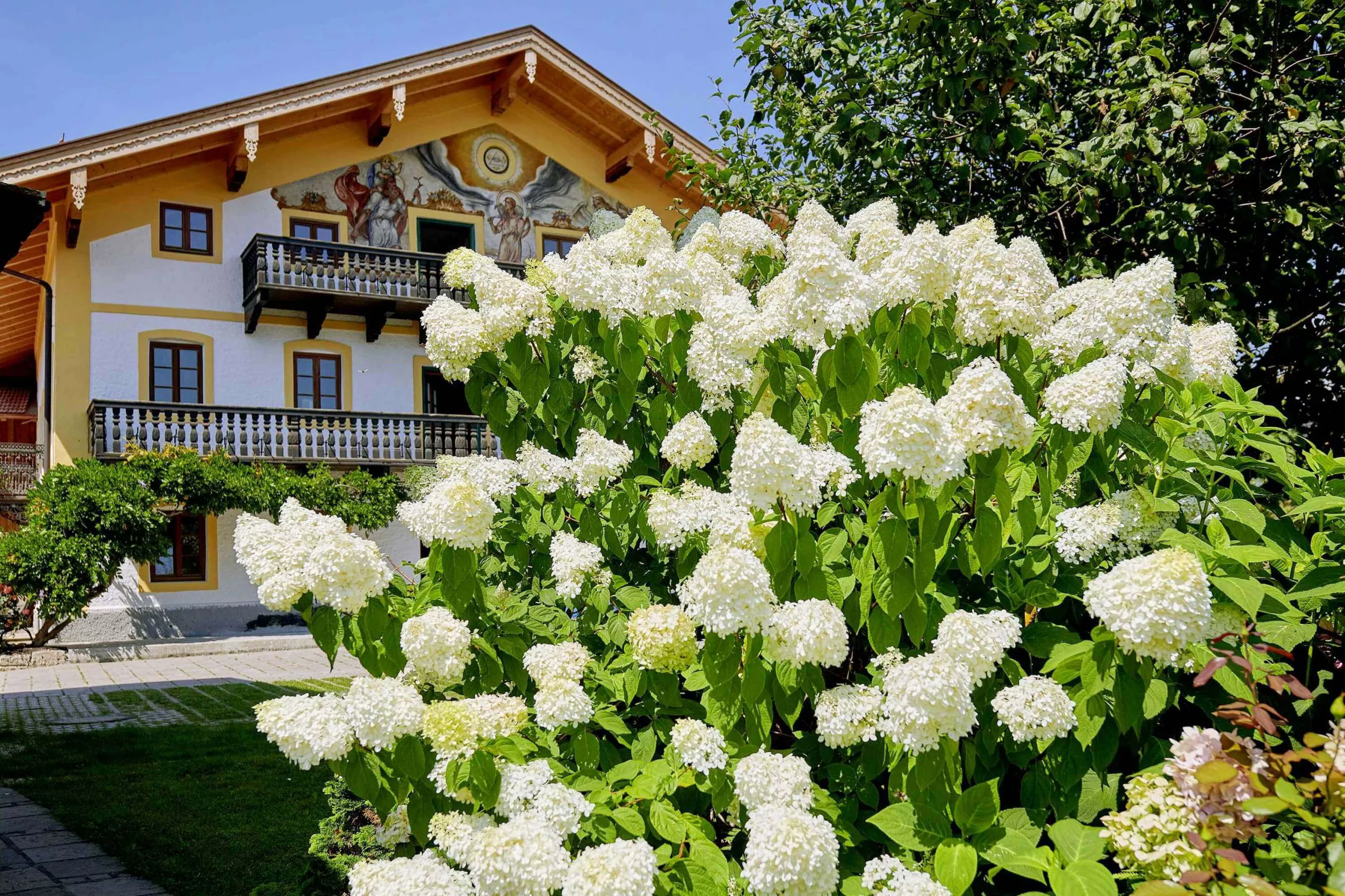 Blütenpracht am Moierhof