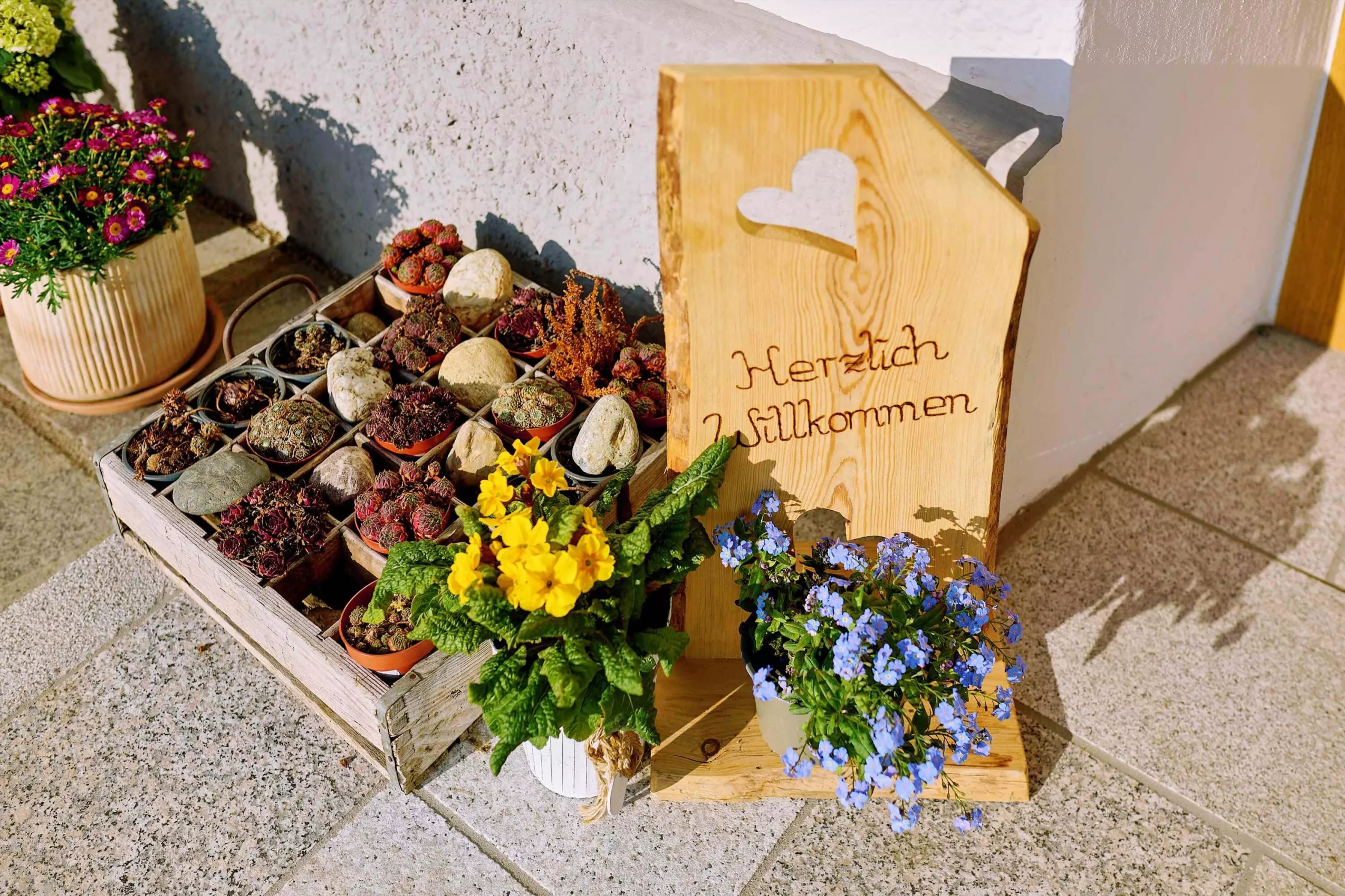 Ferienwohnungen im traditionsreichen Moierhof Herzlich Willkommen am Moierhof