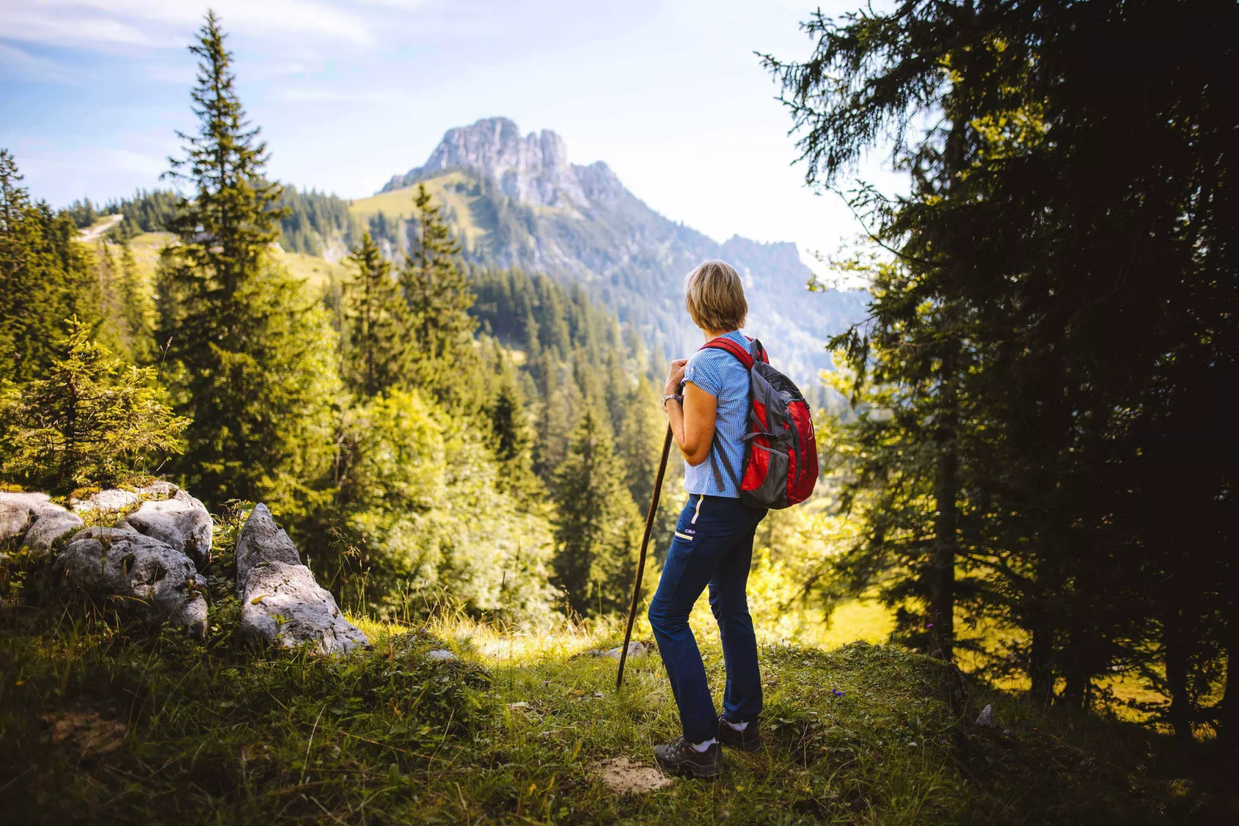 Die Bergwelt zu Fuß erkunden Bergwanderungen in den Chiemgauer Alpen