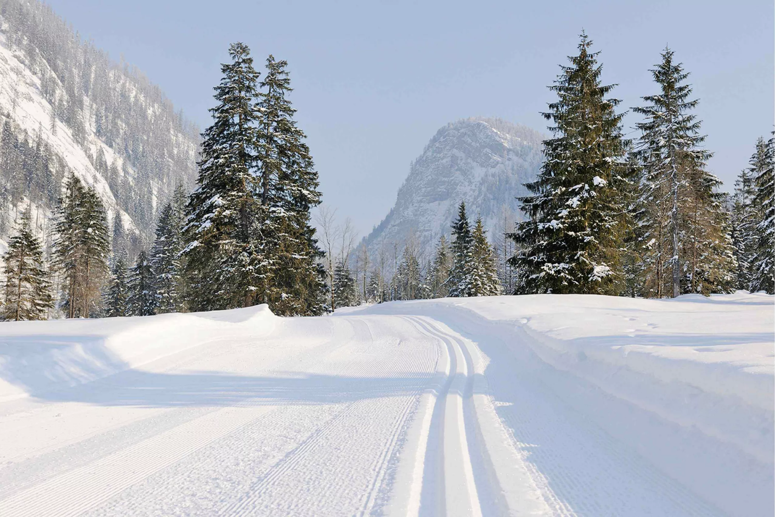 Winterurlaub am Moierhof Gstadt Langlaufen Skifahren Snowboarden Schlittschuh fahren Rodeln