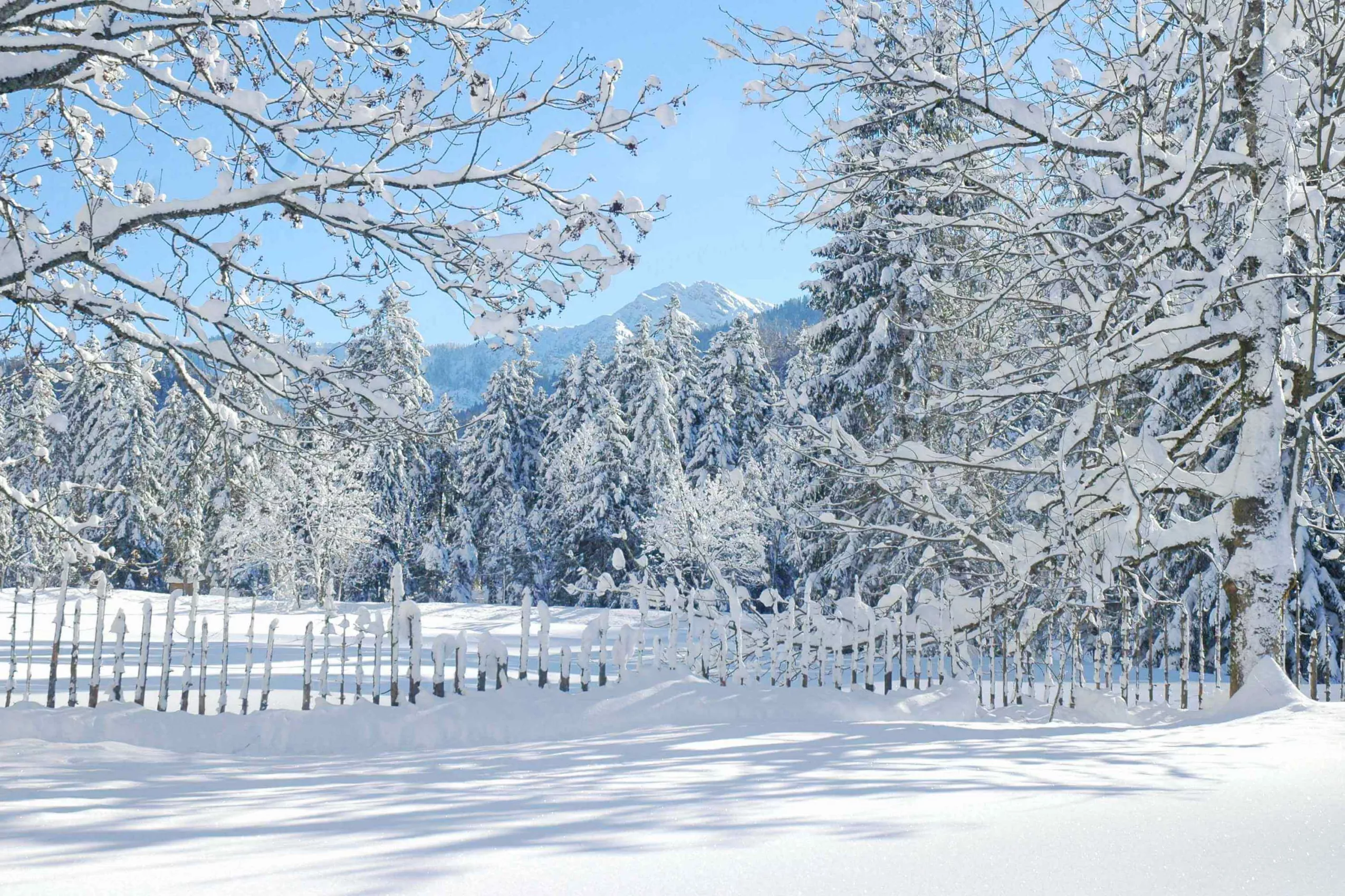 Winterlandschaft in Oberbayern Urlaub am Moierhof Gstadt im Winter mit Wintersport