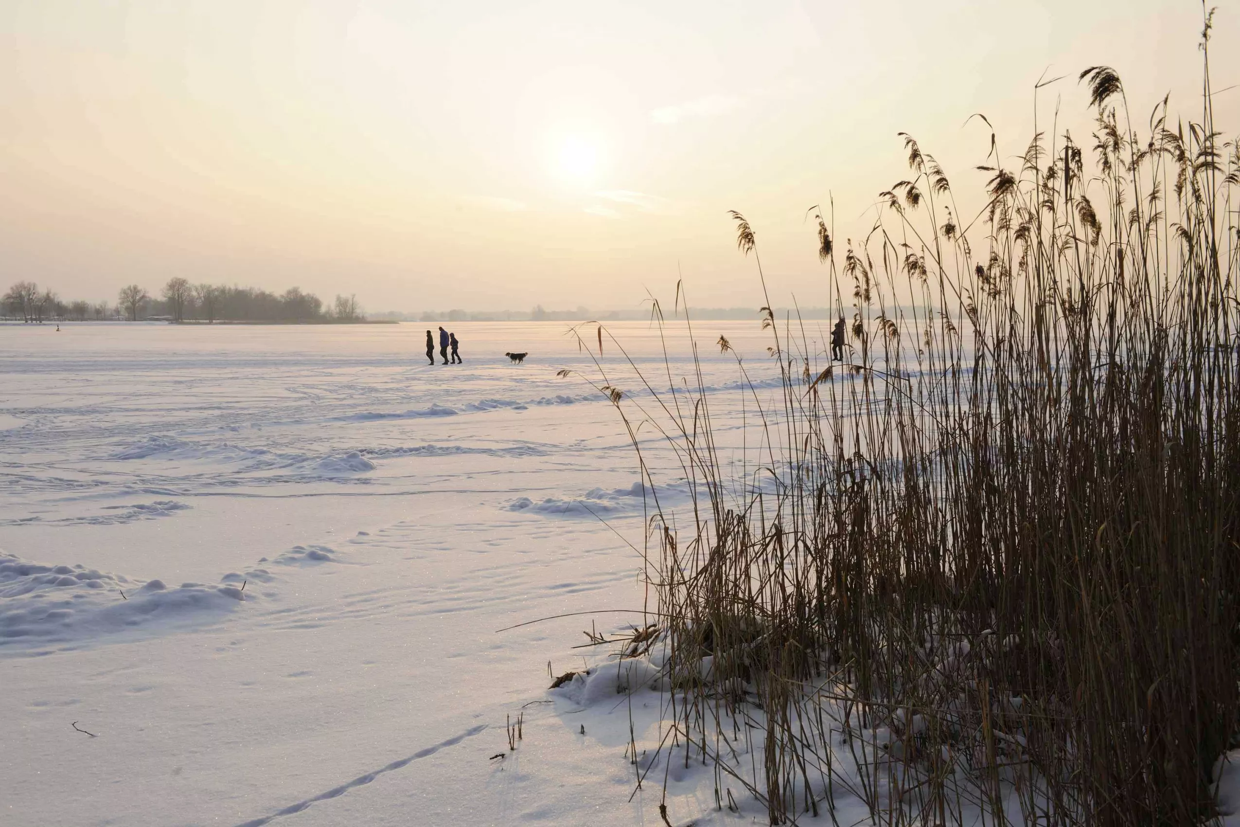 Spuren durch den Schnee ziehen Spaziergänge in klarer Winterluft