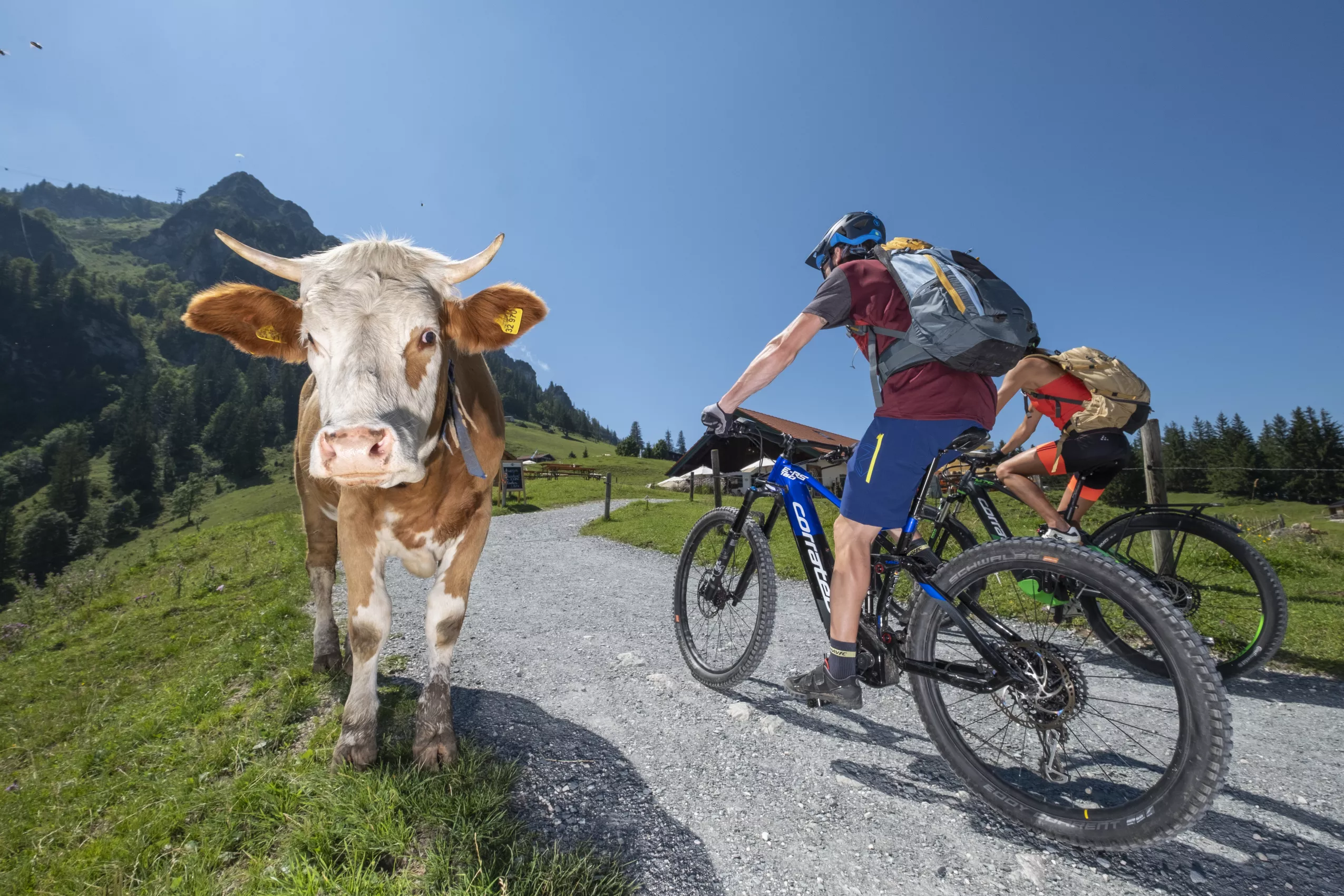 Mit dem Rad unterweg in den Bergen und Einkehr mit deftiger Brotzeit auf der Almhütte