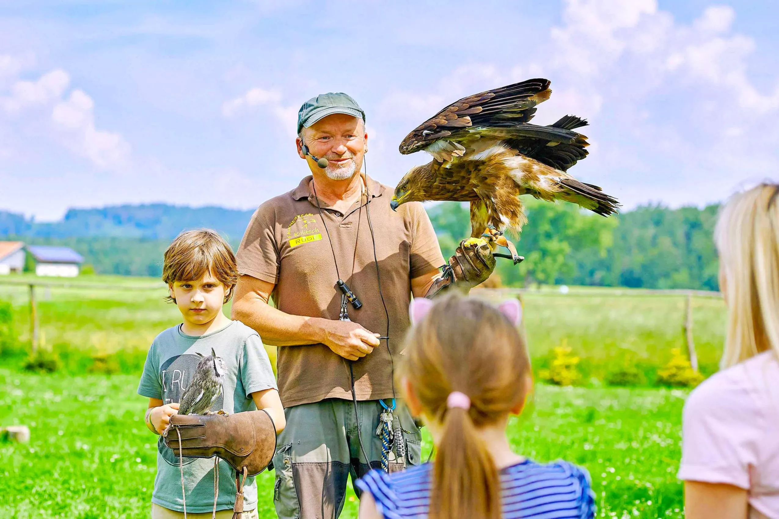 beeindruckende Greifvogelschauen Wildfreizeitpark Oberreith