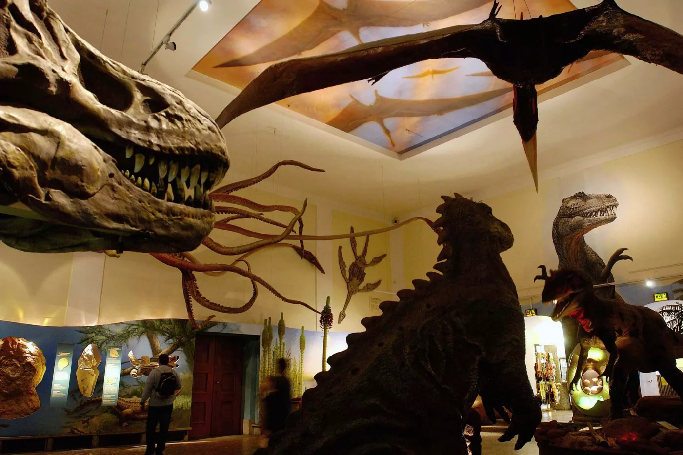 Saurierraum im Haus der Natur Reptilienwelt entdecken in Salzburg