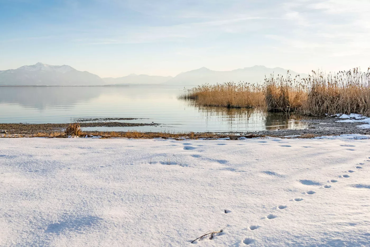 Stille Winterlandschaft Schnee am Chiemseeufer